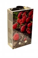 Газовый проточный водонагреватель WertRus 10EG Berry