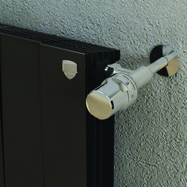 Биметаллический радиатор отопления Royal Thermo PianoForte 500 6 секций Noir Sable