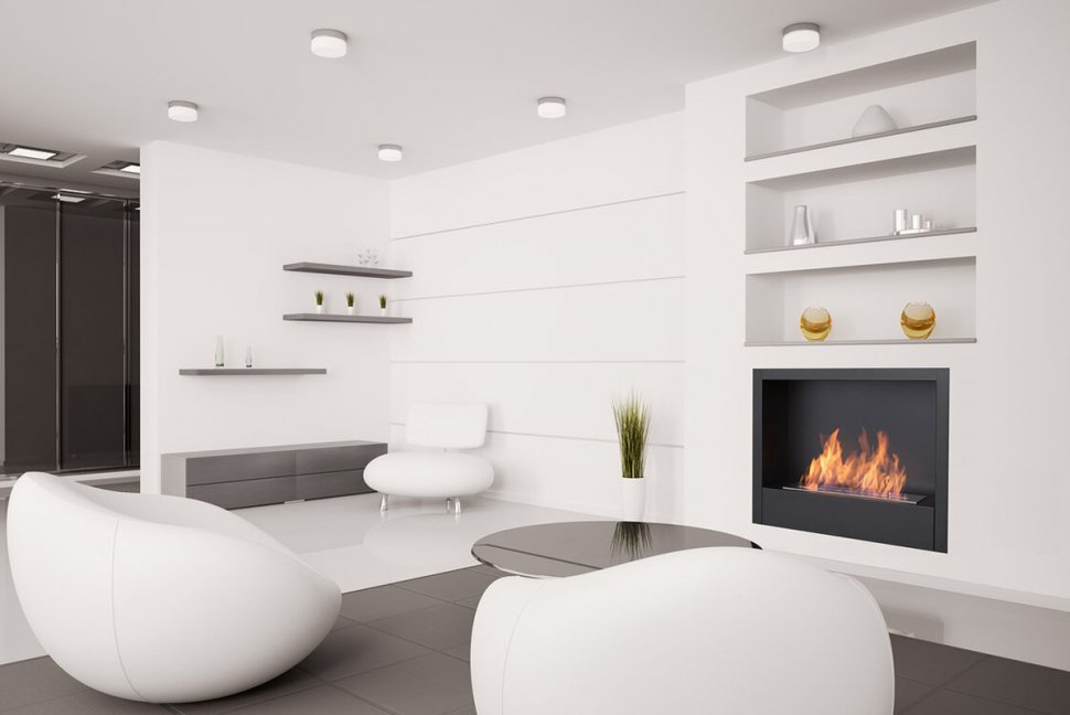 Биокамин модульный Silver Smith Shell 2