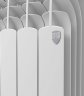 Биметаллический радиатор отопления Royal Thermo Vittoria Super 500 VDR (3 секции)